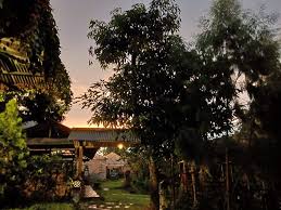 Www.artikelsiana.com 50 lukisan pemandangan alam gunung laut dan pantai indah sumber : Villa Sawah Hotel And Resort Surganya Para Pencari Ketenangan Travel Diva