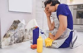 Duvardaki Yag Lekesi Nasil Cikar 2020 Duvar Yag Bilgi