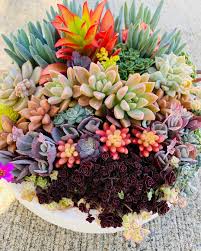 Pin On Gardening