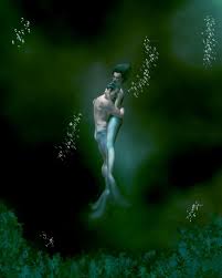 How Mermaids Make Love | Amy Sumida