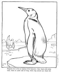 18+ free zoo animal coloring pages. Zoo Animals Coloring Pages