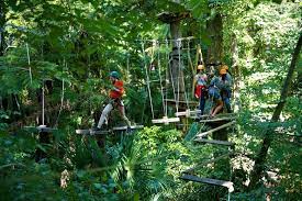 Treetop Adventure Belgrave Melbourne Park Adventure Park Adventure