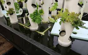 Stacky large 5 tier vertical garden tower. Vertical Growth Arkansan S Hydroponic Towers Make Gardening More Efficient