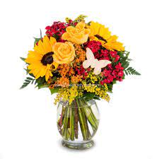 Check spelling or type a new query. I M Sorry Flowers Send Apology Flowers Delivery Germany