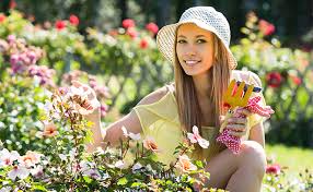 Check spelling or type a new query. How To Use Landscaping To Repel Mosquitoes