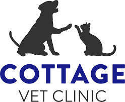 A competitive bay area wage and comprehensive benefits plan to include medical/dental, 401k, paid time off, scrub allowance, in… Our Story Cottage Vet Clinic