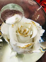 It has a flat bottom to make this a unique desk decoration; Flower Of The Day White Globe Rose Teleportingweena