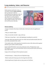 Lung Anatomy Lobes And Fissures By Physioworld Issuu
