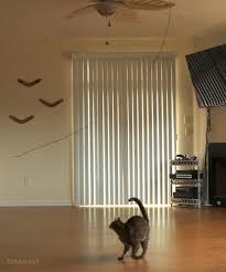 Make gifs from youtube, vimeo, and many other video websites. The Cat And The Ceiling Fan Gif On Imgur