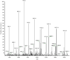 De Novo Peptide Sequencing