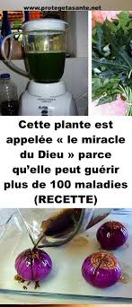 Cette Plante Est Appelee Le Miracle Du Dieu Parce Qu Elle Peut Guerir Plus De 100 Maladies Recette Self Massage Health Health Fitness