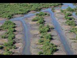 A volusia county mosquito control helicopter, conducting a training mission, will be operating low level tomorrow in the new smyrna beach area before sunrise, weather permitting. Restoration Of Dragline Ditched Coastal Wetlands In Northeast Florida Atlantic Coastal Fish Habitat Partnership