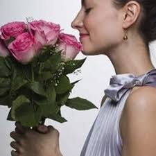 THE BEST 10 FLOWERS & GIFTS near COCKFOSTERS RD, BARNET EN4, UNITED KINGDOM 