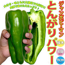 Yahoo!ショッピング - Yahoo! JAPAN