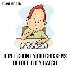 Hello Our Idiom Of The Day Is Don T Count Your Chickens Before They Hatch Which Means Don T Make Future Pla English Idioms Idioms English Vocabulary Words