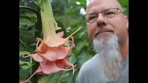 Angel Flower's Instagram, Twitter & Facebook