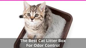 The Best Cat Litter Box For Odor Control Reviews And Ratings For 2021