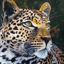 Profile for Aulas de Desenho