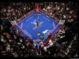 From its opening on december 18. Boxing Wallpaper For Bedrooms Mgm Grand Garden Arena Mgm Grand Hotel Las Vegas Las Vegas Hotels Mgm Grand Las Vegas