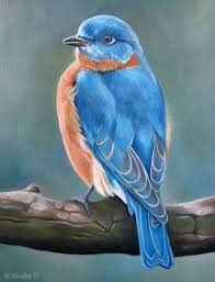 Bluebird Ii Blue Bird Bird Art Art