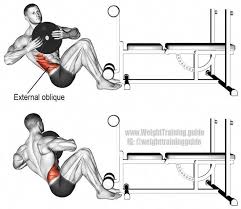 Deadliftexercises Exercices De Musculation Pour Hommes Musculation Abdos Musculation Pour Debutant