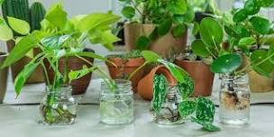 Little Free Plant Library