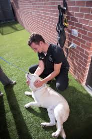 We are on gyorr avenue next to the culver's and to the right of kohl's in a separate strip mall. Pet Boarding And Daycare Animal Care Clinic Of Fox Valley