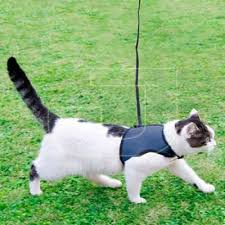 Ferplast Jogging Kedi Gogus Tasmasi Takimi Xlarge