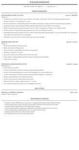 merchandise analyst resume sample