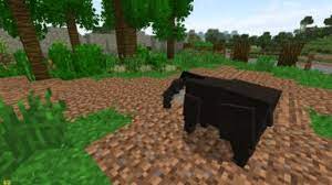 Sep 06, 2021 · the perfect mod for a wannabe zookeeper! Zoocraft Discoveries Mod Para Minecraft 1 12 2 1 7 10 Zonacraft
