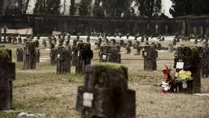 The jobs in a cemetery or graveyard revolve around taking care of the grounds and facilitating funeral services. What Is A Pet Cemetery With Pictures