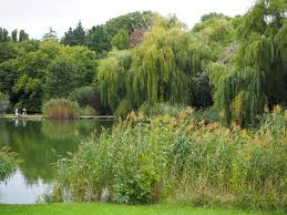 Kurpark Oberlaa Exotische Gartenanlage In Favoriten 1000things