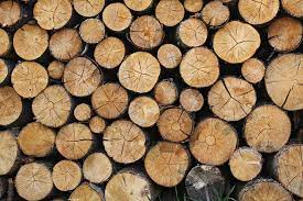 Перевод слова timber, американское и британское произношение, транскрипция, словосочетания, однокоренные слова, примеры использования. Better Logging In Android Using Timber By Sidhant Rajora Mindorks Medium