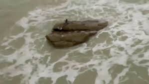 See more ideas about real mermaids, mermaid art, mermaids and mermen. Is This A Real Mermaid Caught On Camera Independent Ie