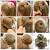 Easy Party Hairstyles For Medium Hair