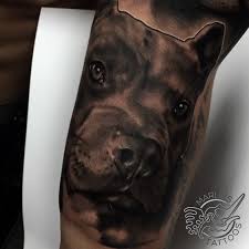 Black And Grey Dog Tattoo Pitbull Dog Tattoo Marlins Tattoos Dog Tattoo Black And Grey Tattoos Pitbull Tattoo