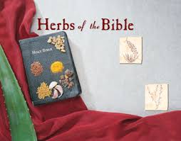 Short hair in contemporary american culture is typically seen as less sexy, but more professional, weitz says. Https Www Motherearthliving Com Health And Wellness Herbs Of The Bible