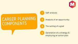 Career development or career development planning refers to the process an individual may undergo to evolve their occupational status. Career Planning Definition Meaning Components Steps And Phases Marketing91