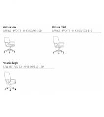 Image result for Vossia