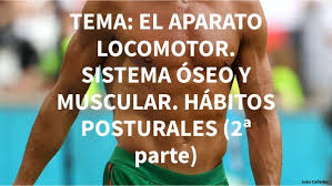 Genially sAPARATO LOCOMOTOR. SISTEMA ÓSEO Y MUSCULAR. (2PARTE)