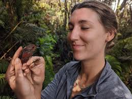 Kiwikiu News-Fall 2022