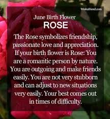 Pin By Megan Strobel On What If June Birth Flower Birth Flowers Birth Month Flowers
