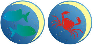 What is their score when it comes to sensuality and intimacy? Pisces Man And Cancer Woman Love Compatibility Friendship