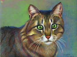 Die Katze Zeichnen Mit Buntstiften Tiere Mit Bunstift Zeichnen Wie Malt Man De Zeichnen Lernen Malen Lernen Online Malkurs Mit Acryl Und Olfarbe Malenwie Malt Man De Zeichnen Lernen Malen Lernen Online Malkurs Mit Acryl Und Olfarbe Malen