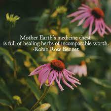 Pin By Botanical Goodness On Herbal Wisdom Medicine Quotes Herbalism Healing Herbs