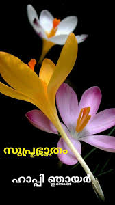 Pin On Good Morning Sunday Malayalam
