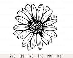 Free Free Daisy Flower Svg Free 139 SVG PNG EPS DXF File