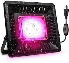 We did not find results for: Cob Led Grow Light 150w Full Spectrum Waterproof Outdoor Plant Lights Grow Lights For Indoor Plants Veg Seedling Natural Heat Dissipation Without Noise For Plants Tent Greenhouse Garden Hydroponic Amazon Com Au Garden