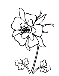 Philadelphus lewisii wildflowers of southernidaho. Colorado Coloring Pages Coloring Home
