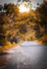 Negeri di atas awan fulad. 11 Blur Photo Background Ideas Blur Photo Background Teacher Favorite Things Butterfly Drawing